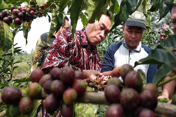  BI Malang Dorong Kopi Daerah Tembus Ekspor