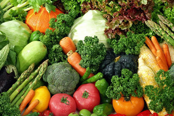  Kebijakan Pangkas Waktu Perizinan Ekspor Benih Hortikultura Untungkan Produsen