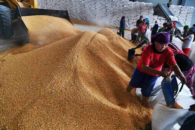 Pekerja mengemas jagung impor yang akan didistribusikan ke peternak di Gudang Bulog, Surabaya, Jawa Timur, Kamis (24/1/2019)./ANTARA-Zabur Karuru