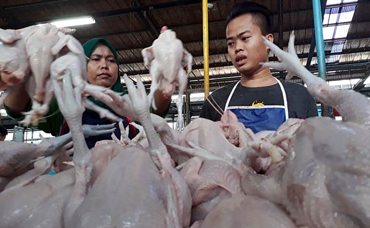 Pedagang menyusun ayam potong di Pasar Modern, Serpong, Tangerang Selatan, Senin (2/6/2019)./Bisnis-Endang Muchtar