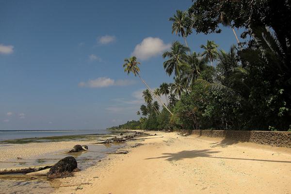  Festival Biak Mampu Ciptakan Peredaran Uang Rp12,8 Miliar