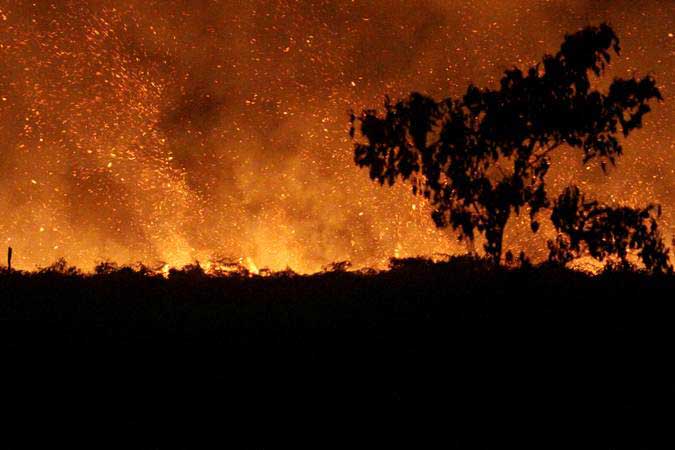  Cegah Karhutla di Riau, BNPB Kirim 1.500 Personel