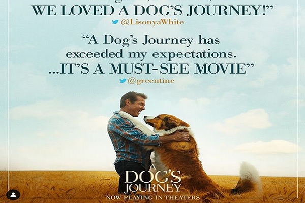  \'A Dog\'s Journey\', Film Keluarga untuk Pencinta Binatang