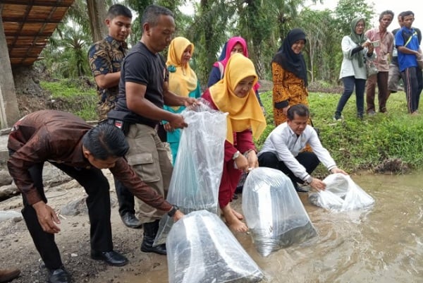  Indramayu Tebar 802 Ribu Ekor Bibit Ikan di Perairan Umum