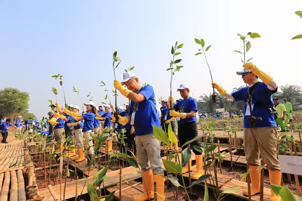  Pemprov DKI Jakarta Gencar Aksi Tanam Mangrove