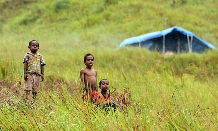  Beras, Rokok Kretek dan Tongkol Bebani Penduduk Miskin Papua