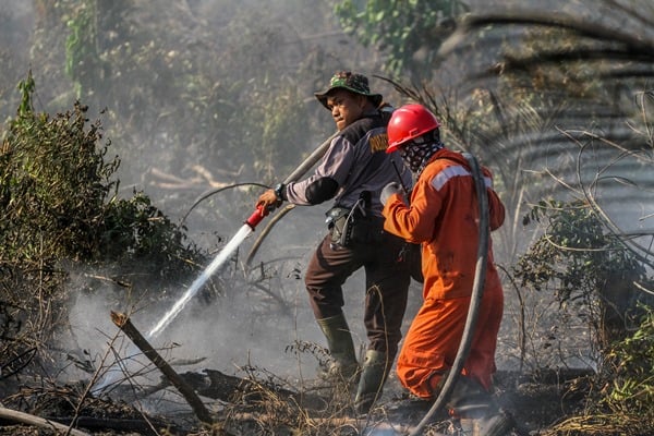  Kebakaran Gunung Panderman: Luas Areal Terbakar Mencapai 60 Ha