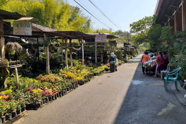  Pedagang Pasar Bunga Madiun Enggah Direlokasi, Takut Rugi