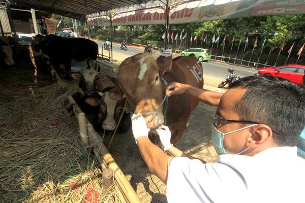  Lebih 800 Petugas Cek Hewan Kurban di Seputaran DKI