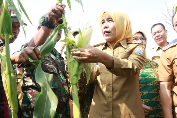  Pemkot Palembang Optimalisasi Lahan Tidur