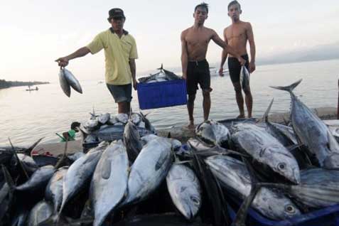 Jepang Bantu Pengolahan Gurita Perikanan Nusantara Makassar