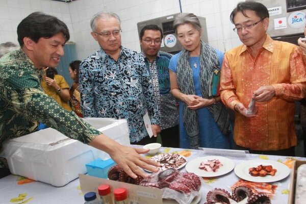  Perikanan Nusantara Ekspor 250 Ton Gurita ke Jepang hingga Juli 2019