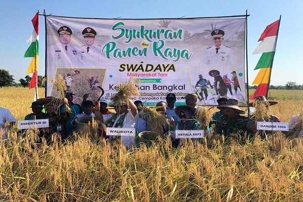  Kota Banjarbaru Panen Raya Padi Jenis Lokal