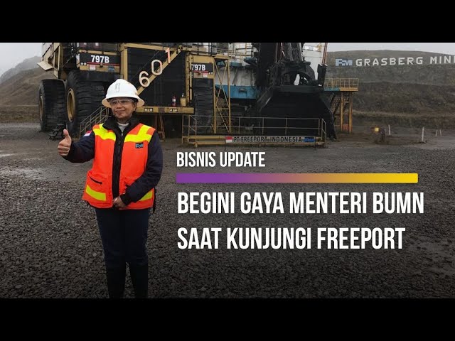  Menengok Freeport, Ini yang Dilihat Menteri BUMN Rini Soemarno