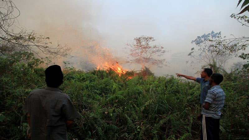  Warga Pekanbaru Mulai Keluhkan Asap Karhutla