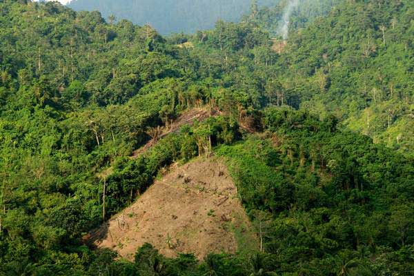 Kondisi sebagian kawasan hutan yang rusak di sekitar pegunungan Kalukku, Mamuju, Sulawesi Barat, Rabu (25/10)./ANTARA-Akbar Tado