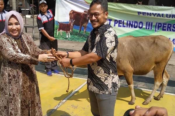  Pelindo III Cabang Banjarmasin Potong Hewan Kurban