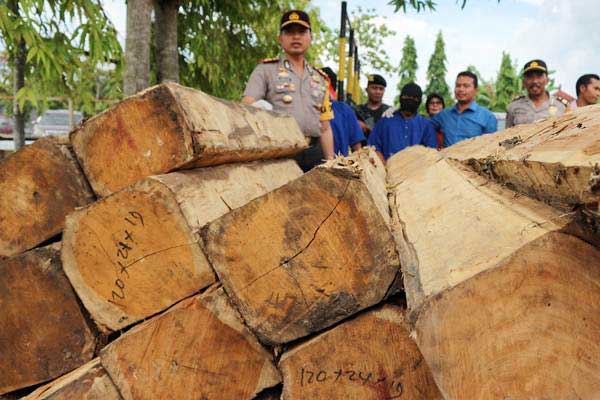  Tim Kepolisian dan KLHK Panggil Terduga Aktor Intelektual Pembalakan Liar