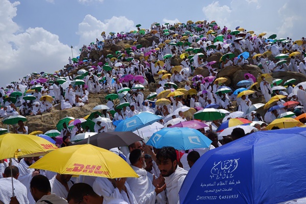  Jamaah Haji Diguyur Hujan Deras Saat Wukuf di Padang Arafah