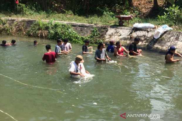  Meski Sudah Dilarang, Warga Masih Mencuci Jeroan di Selokan Mataram