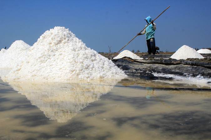 Petambak memanen garam di desa Tanjakan, Krangkeng, Indramayu, Jawa Barat, Rabu (10/7/2019)./ANTARA-Dedhez Anggara
