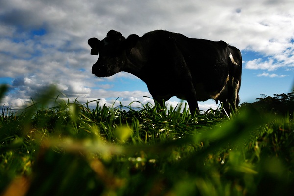 Rencana Pengenaan Bea Masuk terhadap Produk Susu UE Tak Langgar WTO