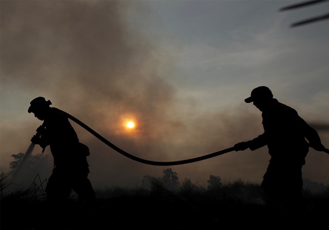  LSM: Jika RUU Pertanahan Disahkan, Dampaknya Terjadi Deforestasi Besar-besaran