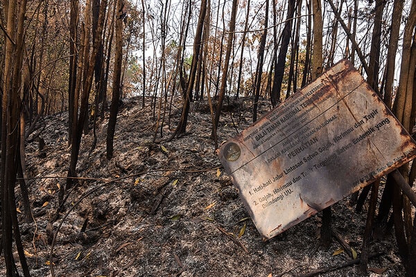  Polda Riau Tetapkan 31 Tersangka Kebakaran Hutan