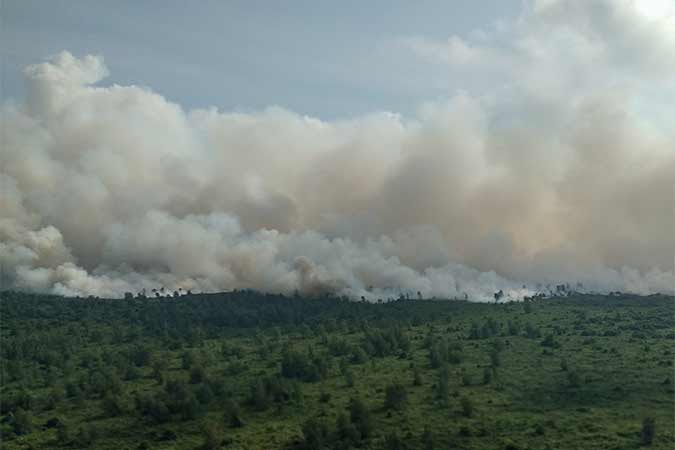  KEBAKARAN LAHAN DI MUSI BANYUASIN