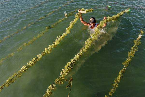  Kaltara Berharap Perda Zonasi Wilayah Pesisir Tekan Konflik Kepentingan