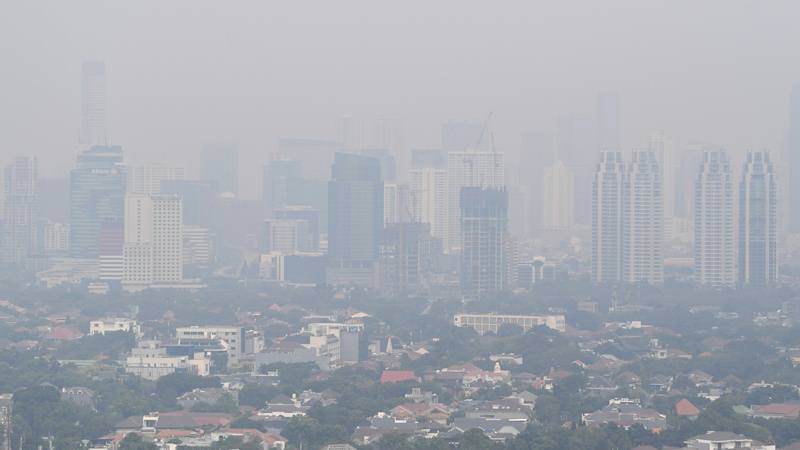  Polusi Udara Kepung Jakarta, Pemprov DKI Tanam Bougenville