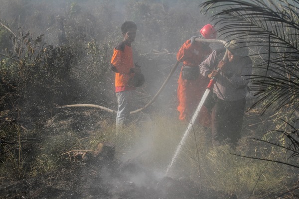  Kawasan Hutan Gunung Pogor Terbakar Diduga Akibat Kemarau
