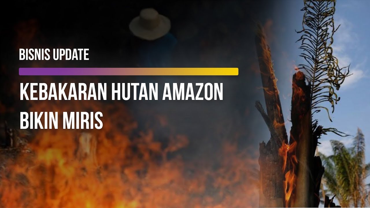  Kebakaran Hutan Amazon Capai Rekor Tahun Ini