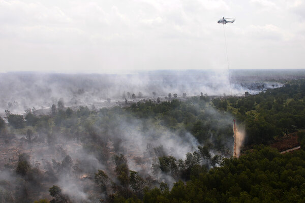  1.822 Hektare Hutan dan Lahan di Sumsel Terbakar