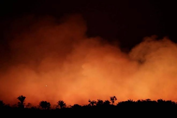  Brasil Tolak Bantuan Dana G7 Untuk Atasi Kebakaran Amazon