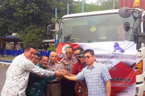  Ekspor Pakan Ternak Berkembang Pesat, Bea Cukai: Kami Dukung Kemudahannya