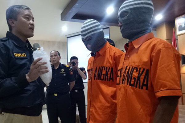  Bea Cukai Palembang Gagalkan Penyelundupan Lobster Bernilai Rp10 Miliar