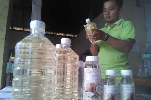  Petani Kelapa Kalibawang Produksi Virgin Coconut Oil 