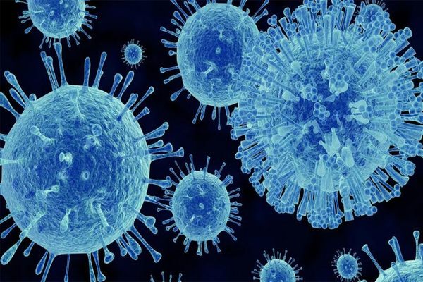  INOVASI TEKNOLOGI: Ampuh Deteksi Norovirus dengan Aplikasi