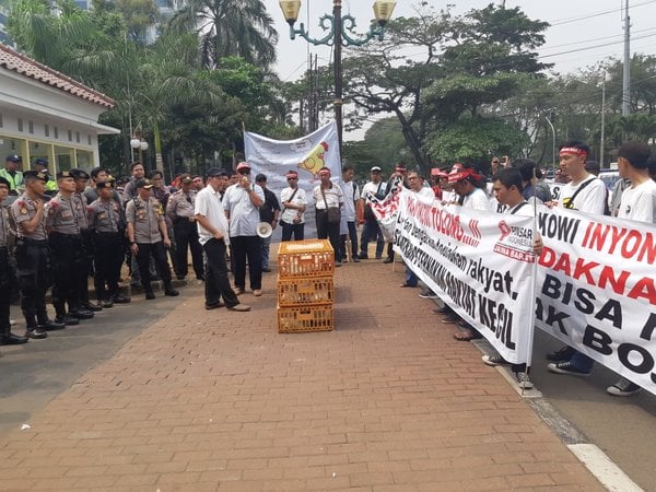  Harga Ayam Anjlok, Peternak Mandiri Lakukan Aksi Unjuk Rasa