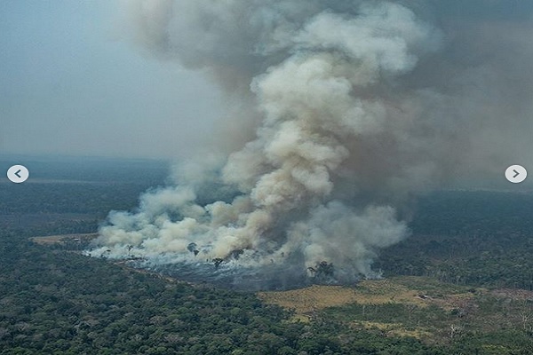  Leonardo DiCaprio Resah, Pakar Sebut Hutan Amazon Tak Produksi 20 Persen Oksigen 
