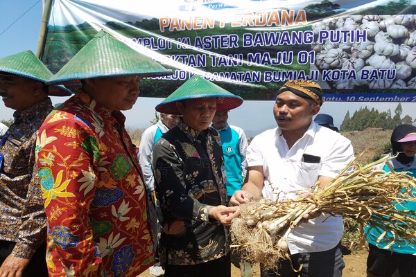  BI Malang Dorong Batu Menjadi Sentra Produksi Bawang Putih