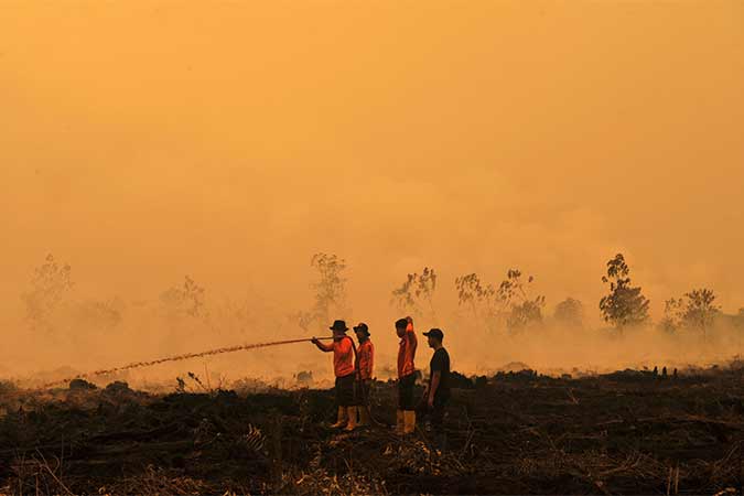  Kebakaran Lahan Gambut di Muarojambi