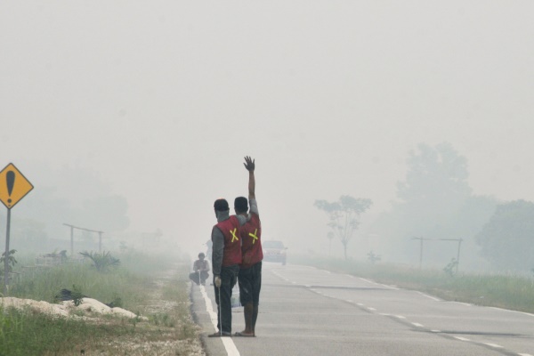  1.316 Titik Panas Terpantau di Sumatra, Angin Kirim Asap ke Riau