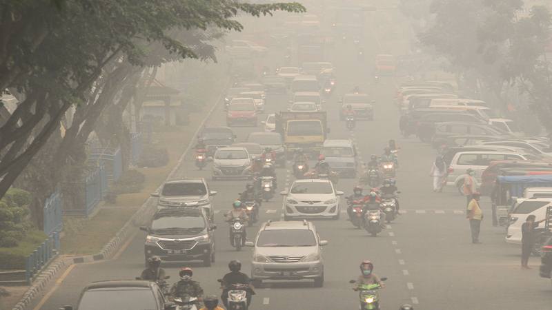 Kabut Asap Karhutla, Masyarakat Riau Keluarkan Petisi 