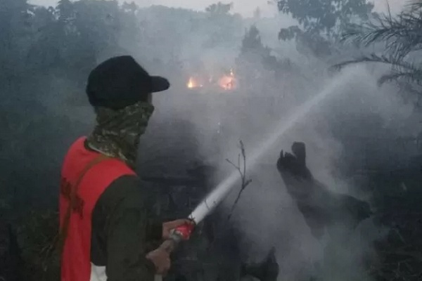 Satgas Gabungan Karhutla berupaya memadamkan kebakaran hutan dan lahan di Kelurahan Sagatani, Kecamatan Singkawang Selatan, Kalbar./Antara