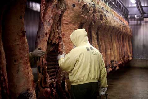  Kisruh Label Halal pada Produk Hewan Impor, Ini Klarifikasi Kemendag