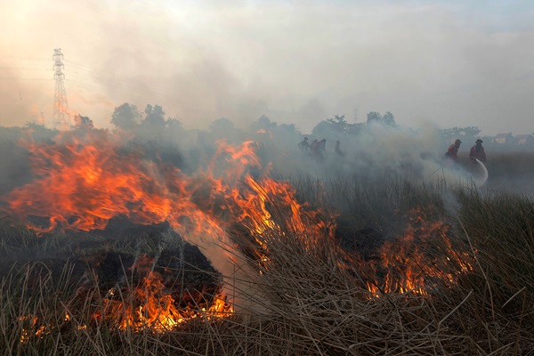  BMKG Pantau Ada 11 Titik Api di Riau
