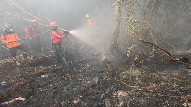  Dua Pesawat Tambahan Dikerahkan Atasi Karhutla di Riau