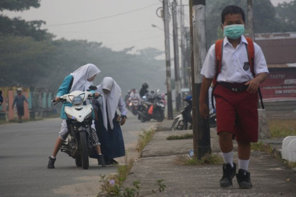  Kaltara Revisi Perda, Sentuh Masyarakat Adat untuk Atasi Karhutla